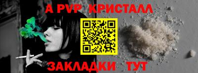 прущие грибы Будённовск