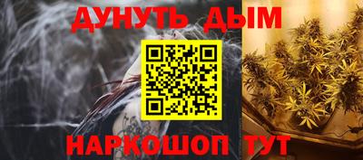прущие грибы Будённовск