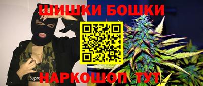 прущие грибы Будённовск
